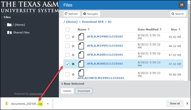 File Transfer Portal Download ZIP File
