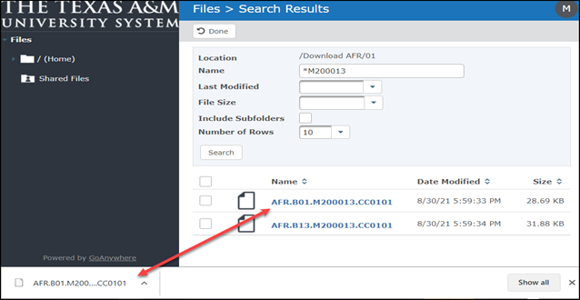 File Transfer Portal File Link