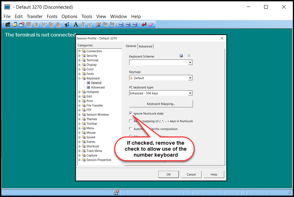 Screen capture of Session Properties window with Keyboard option for enabling Number Lock highlighted