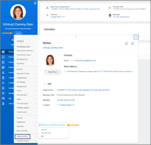Edit Effective Custom Dated Object