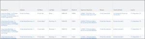 The In Progress Merit Review Process report displaying the details for several employees